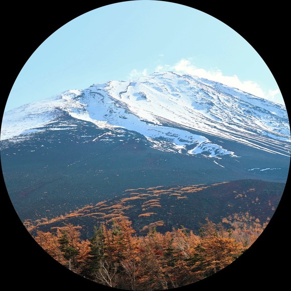 adventureal